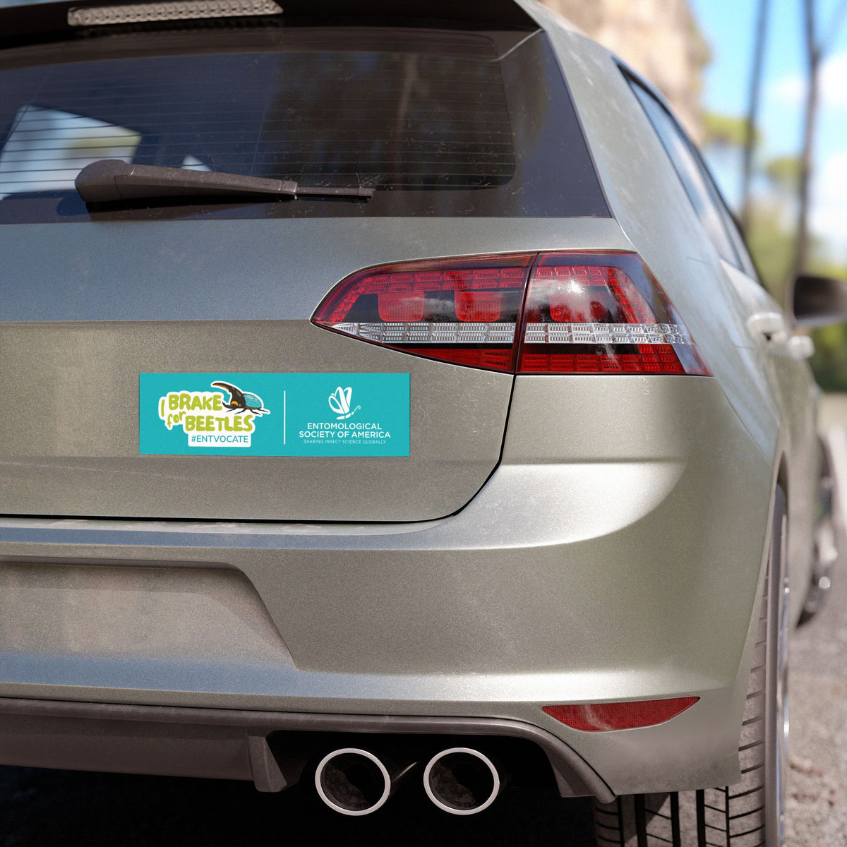 Brake for Beetles Car Magnet — #EntVocate Magnet