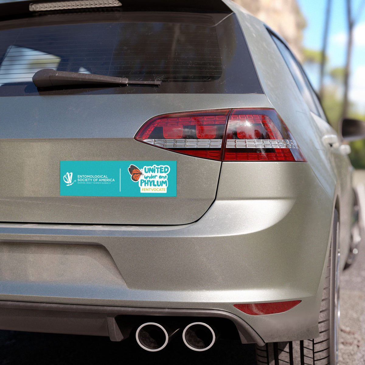United Under One Phylym Car Magnet — #EntVocate Bug Awareness Magnet