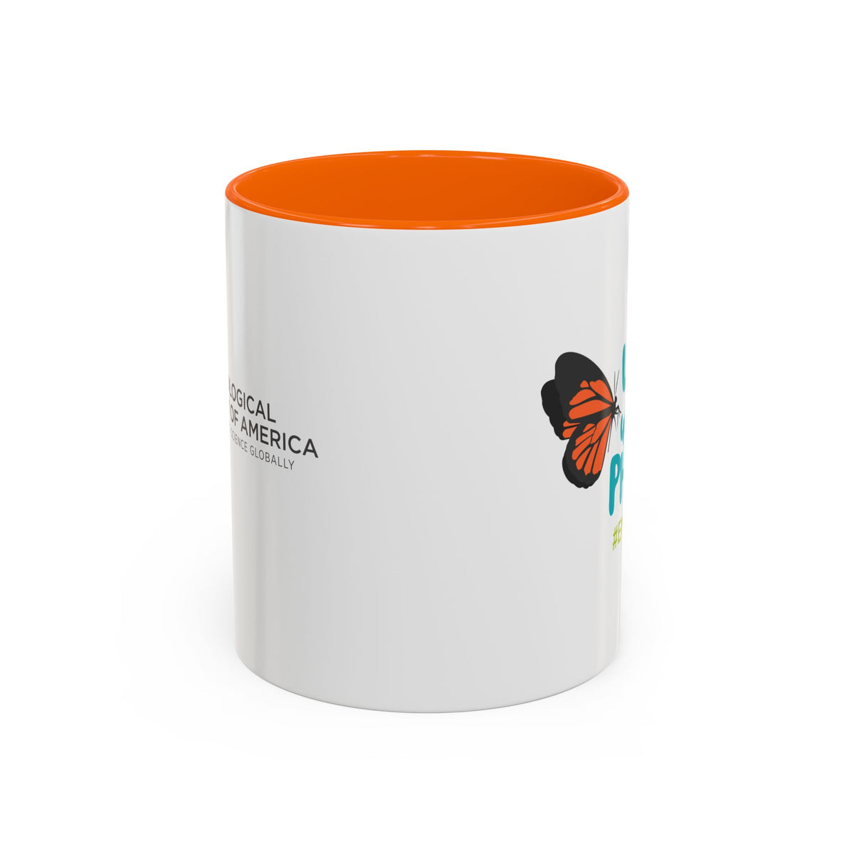 United Under One Phylum Mug