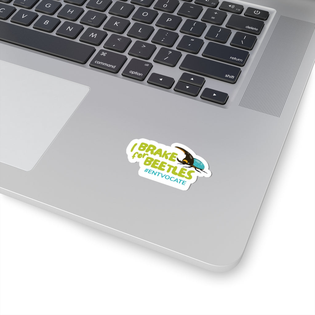 Brake for Beetles Sticker