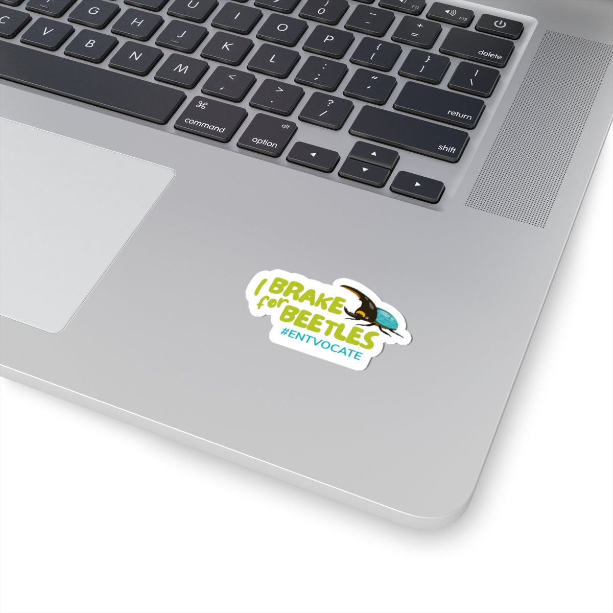Brake for Beetles Sticker