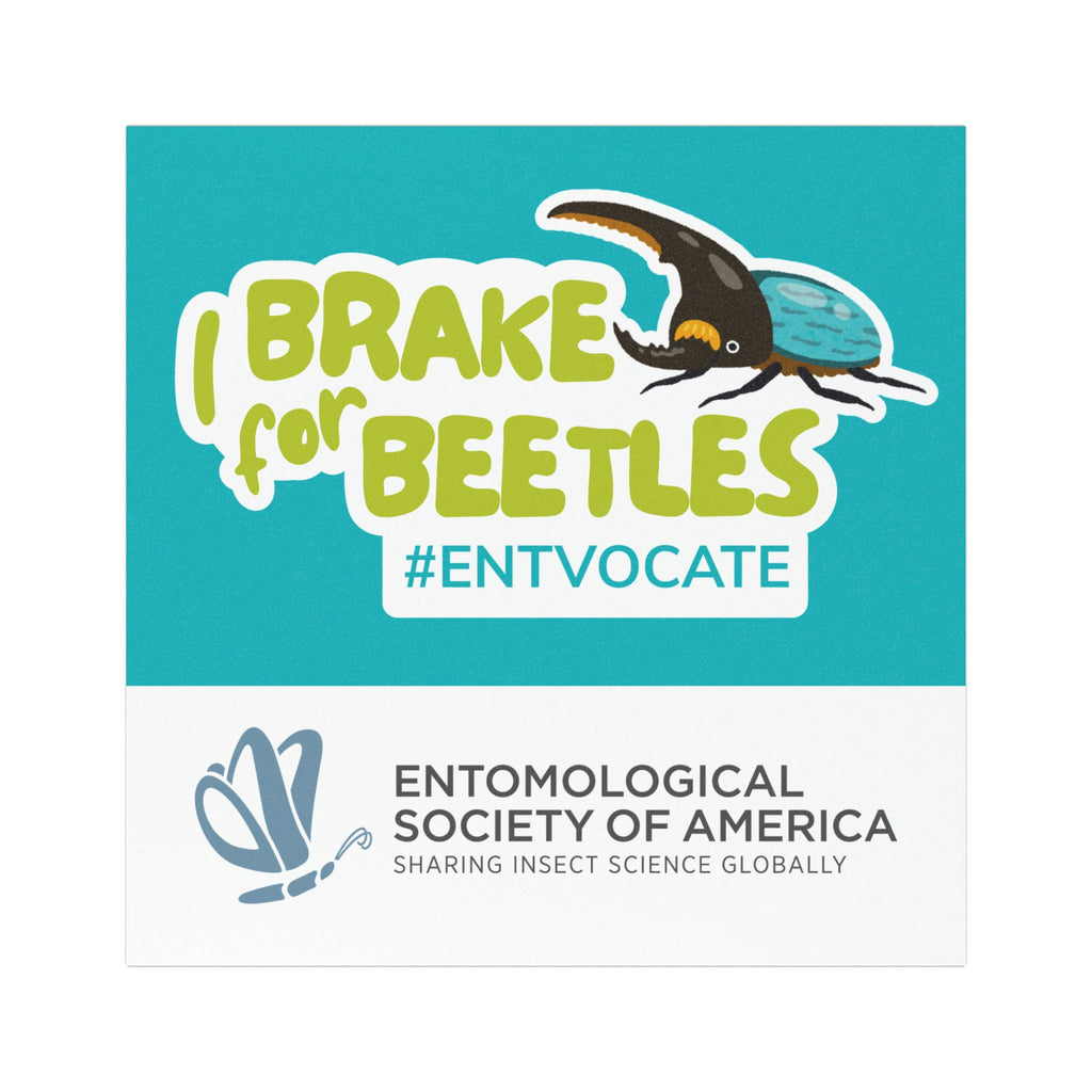 Brake for Beetles Car Magnet — #EntVocate Magnet