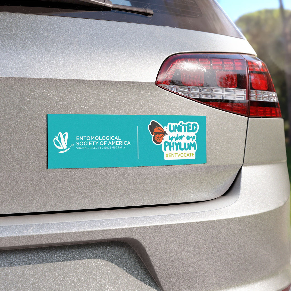 United Under One Phylym Car Magnet — #EntVocate Bug Awareness Magnet